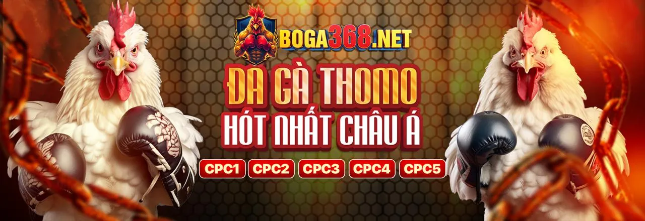 Hình ảnh minh họa Chính sách quyền riêng tư của trực tiếp đá gà c2, bảo vệ dữ liệu người dùng