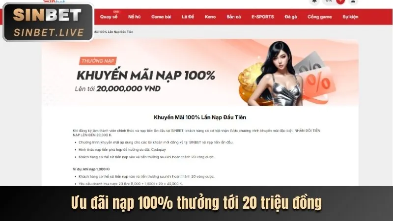 Điều Khoản Khuyến Mãi